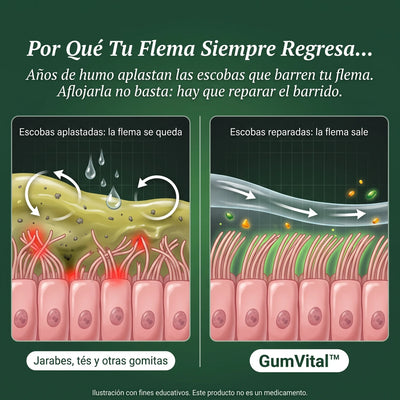 GumVital | Gomitas de Gordolobo